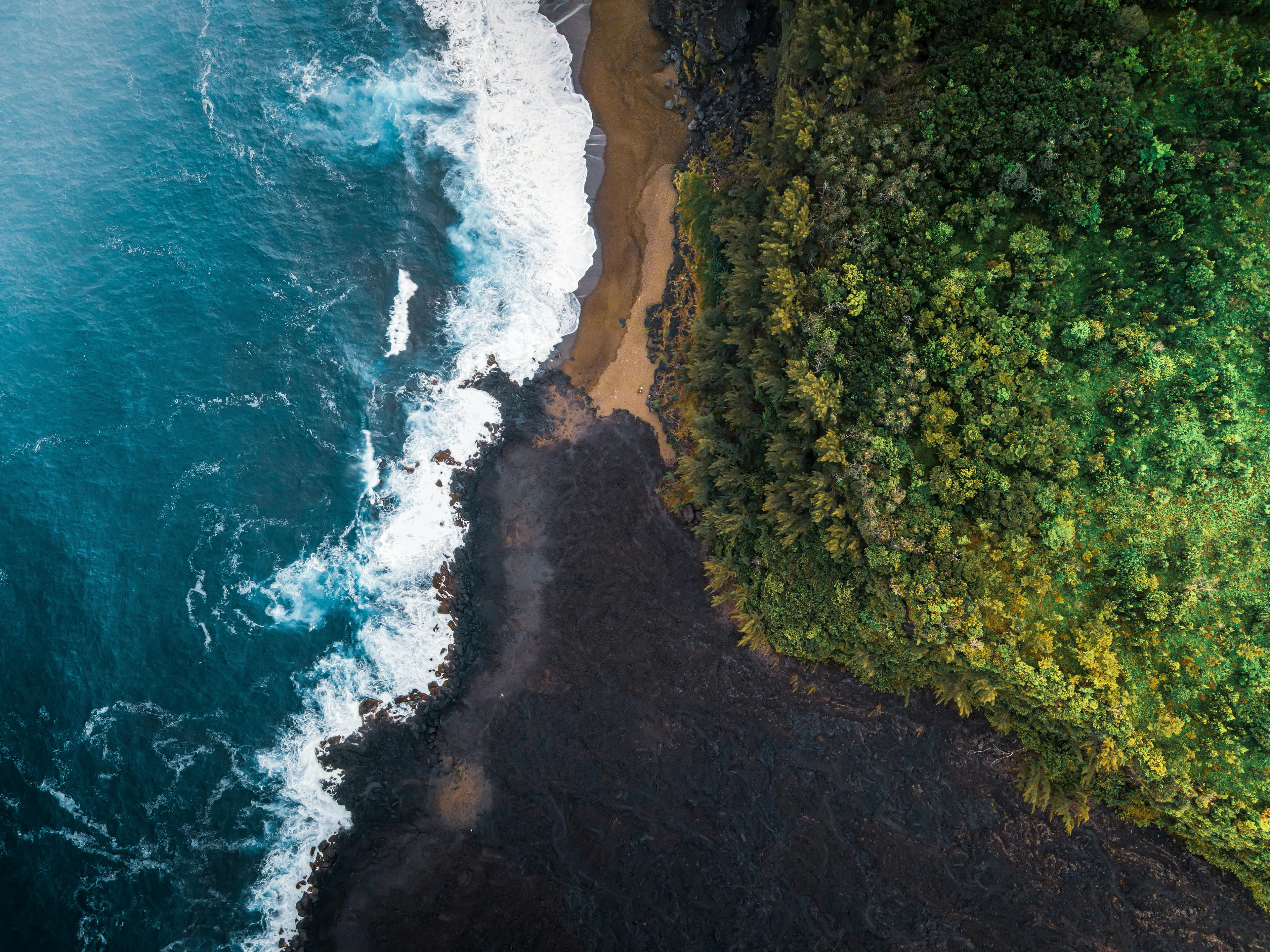 Turquoise sea washing coast with forest